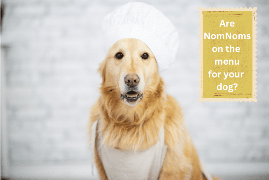 nomnom dog chef