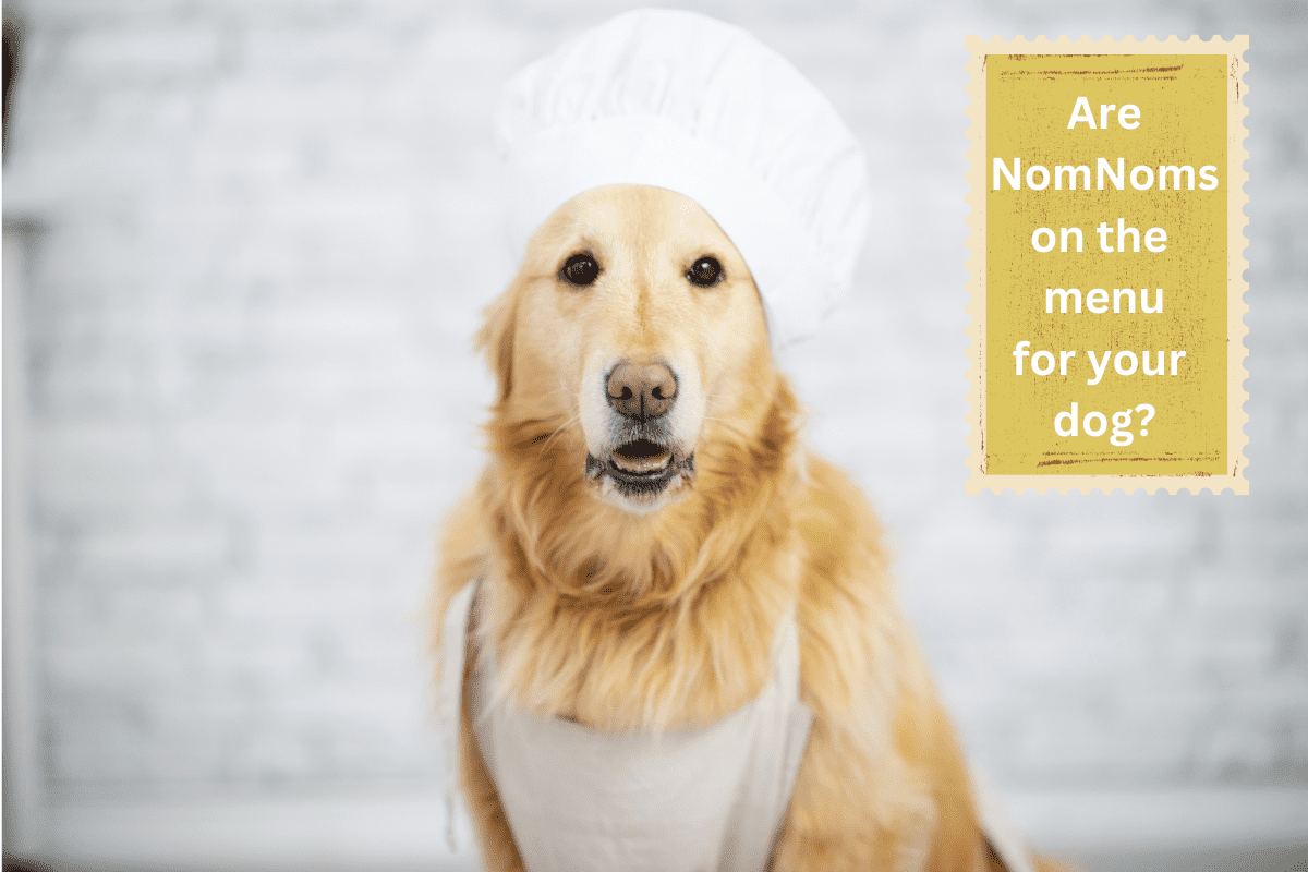 nomnom dog chef