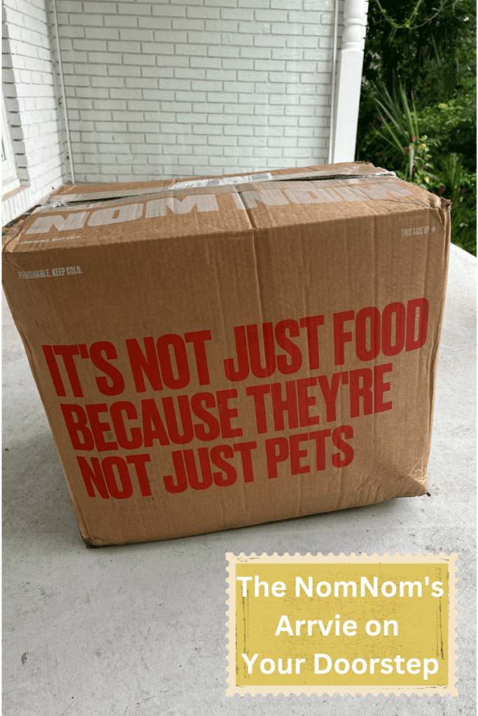 Nom Nom Delivery box