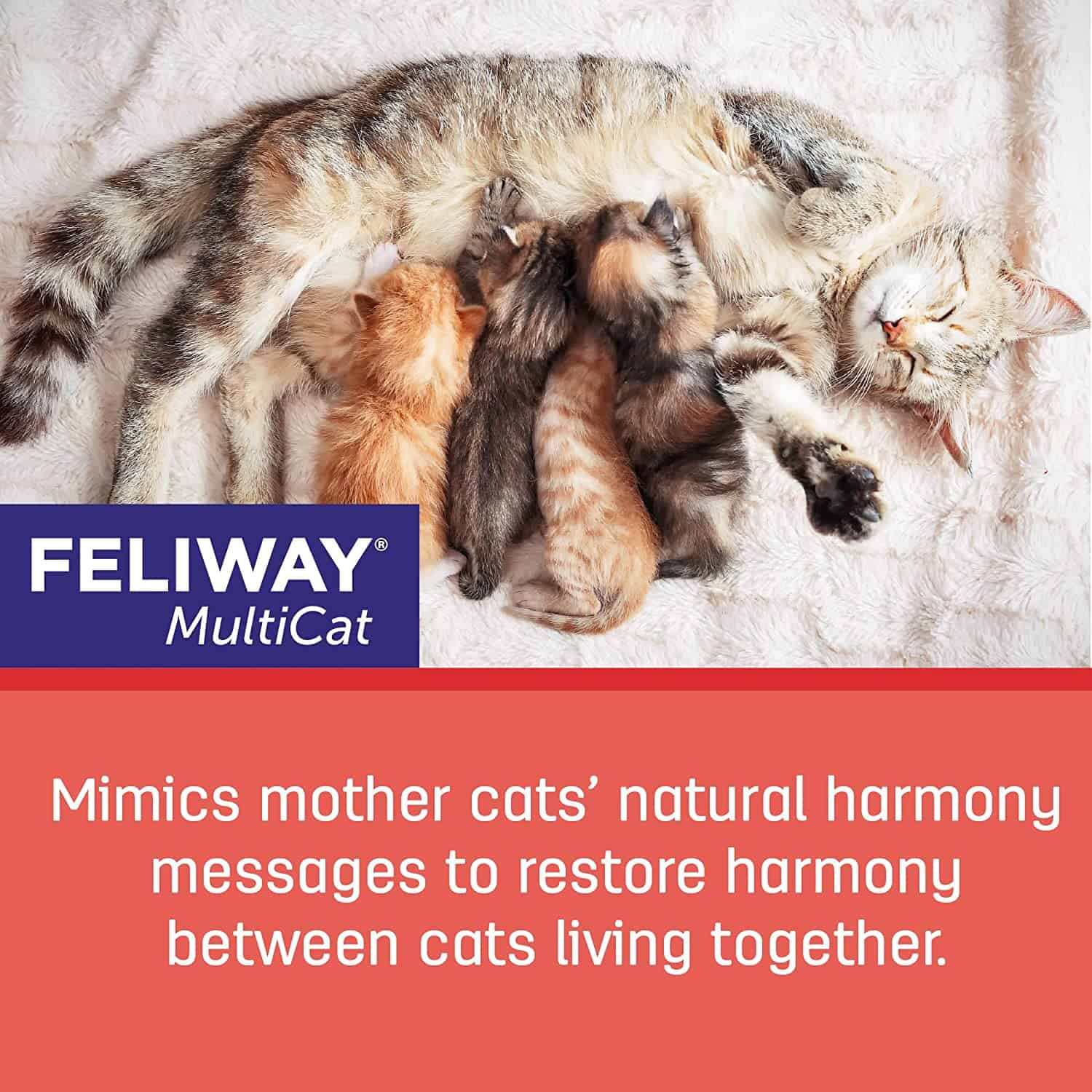Feliway MultiCat 30 Day Starter Kit Calming Pheromone Diffuser for Cats - Image 7