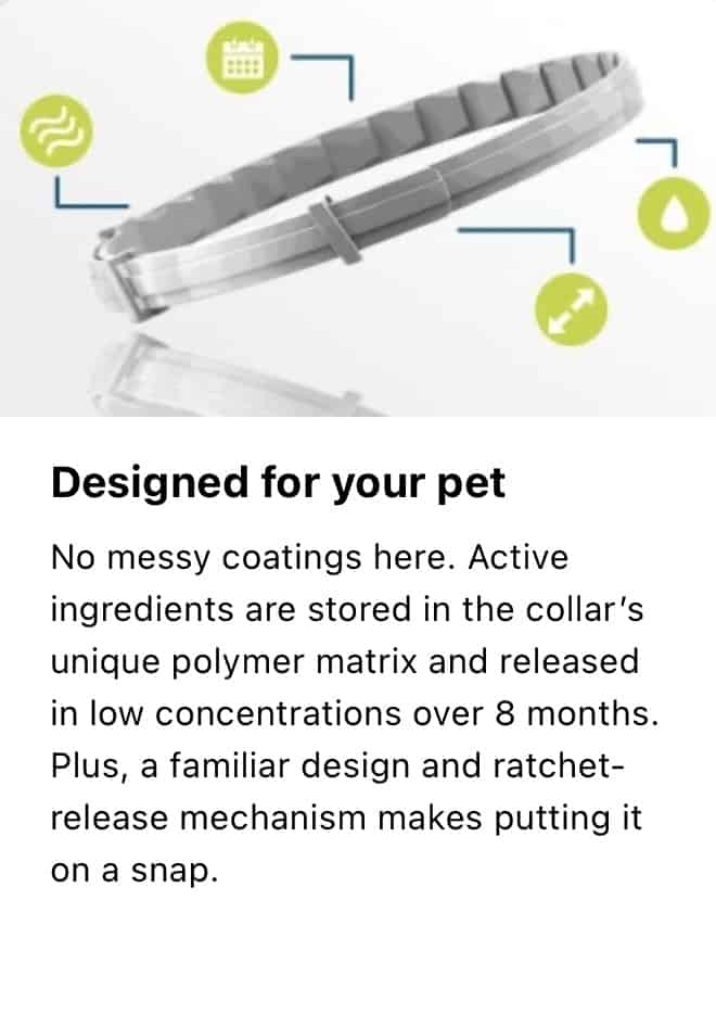 Seresto design dog