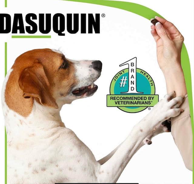 Nutramax Dasuquin with MSM Soft Chews Joint Supplement for Small & Medium Dogs - Image 3