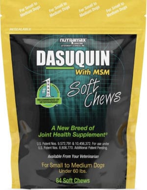 dasuquin msm sm med dog