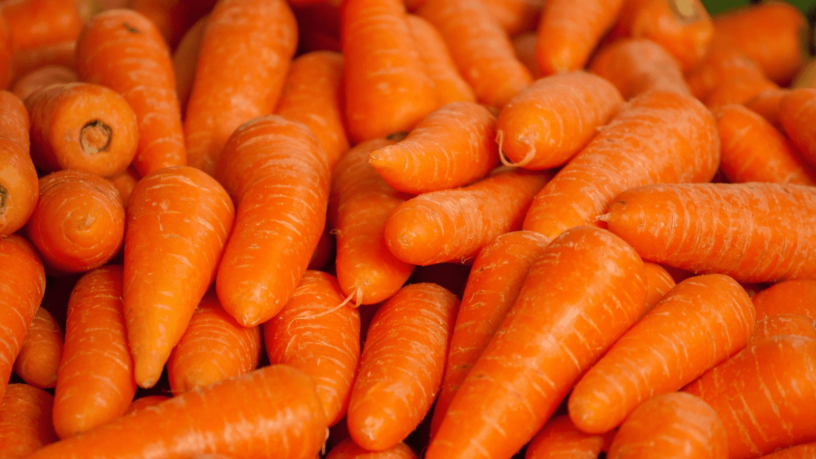baby carrots