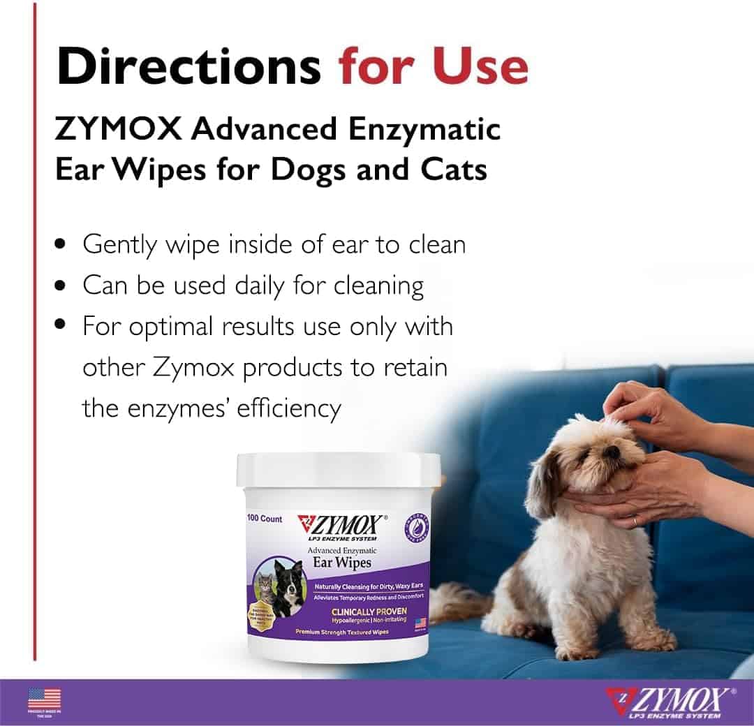 dog getting his ear cleaned with zymox wipes