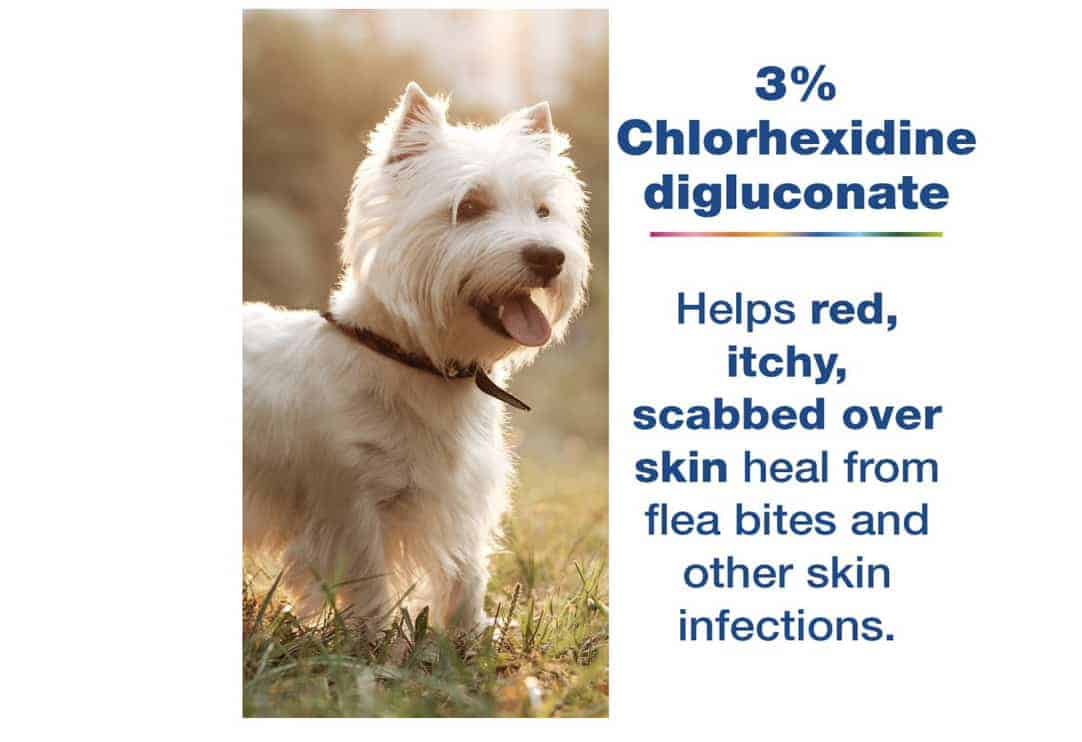 image of dog and description of chlorhexidine benefits
