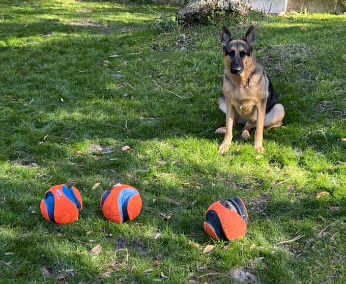 Veterinarian recommends having at least 3 Chuckit! Fetch Ball for Dogs