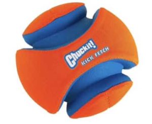 Chuckit! Fetch Ball for Dogs