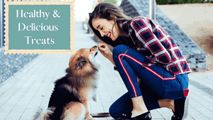 Women feeding healthy treat to dog