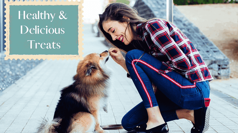 Women feeding healthy treat to dog