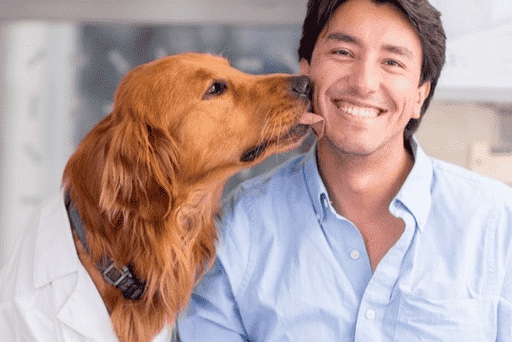 golden retriever licking man on face