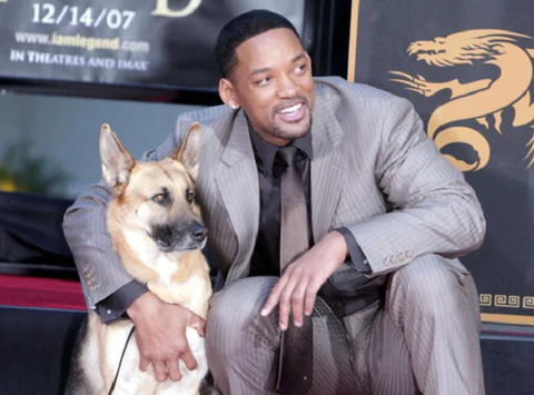 German shepherd Abbey with actor Will Smith