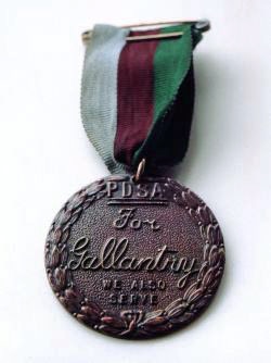Medal on a green and red ribbon