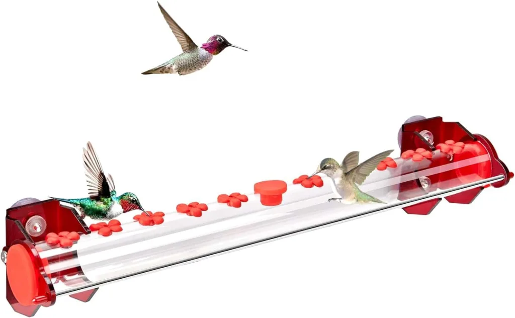 Hummingbird window feeder for cats Hummingbird on clear window feeder