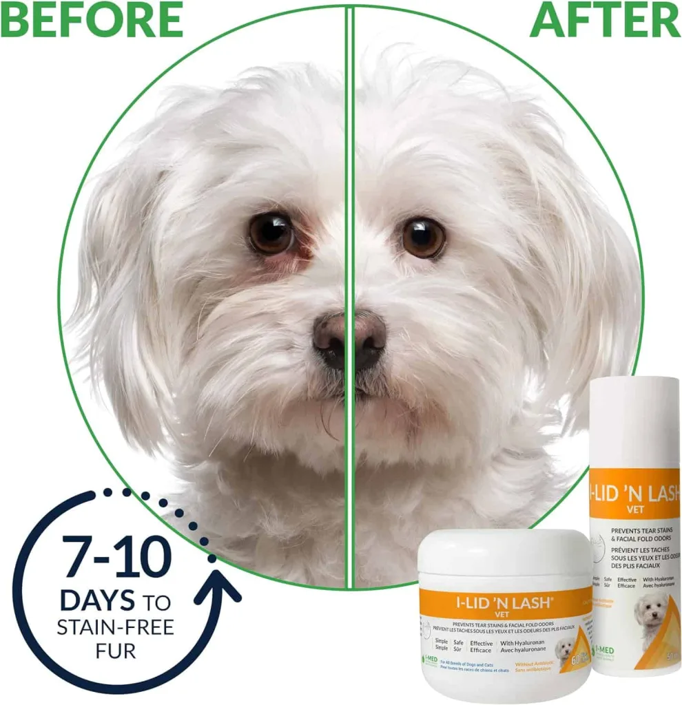 Ilid and lash before after white dog with tear staining on one side and not on the other