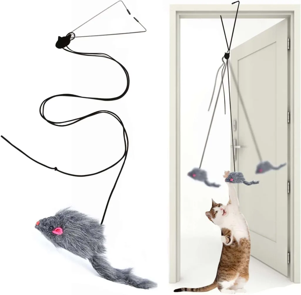 Kalimdor cat feather toy Cat playing with feather toy in doorway