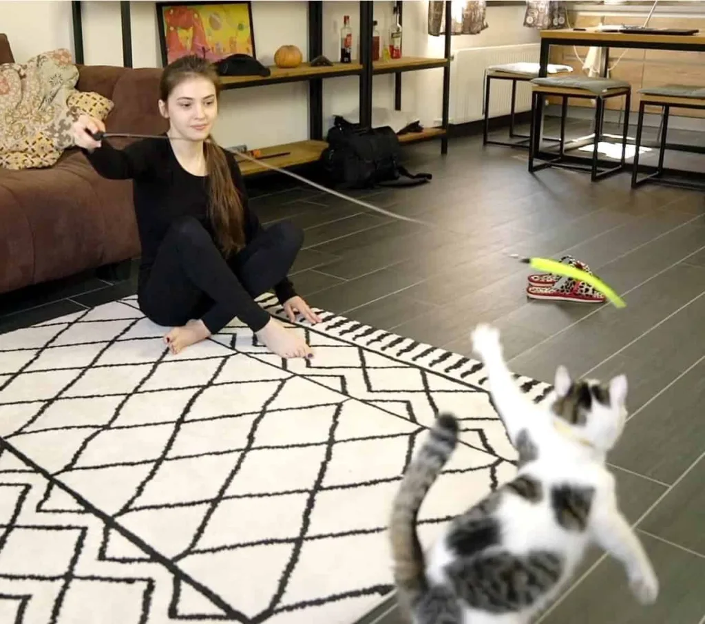 MeoHui Cat Feather toy child playing with feather toy and cat