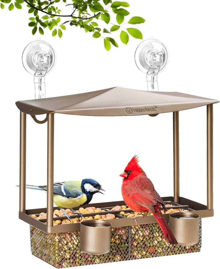 Metal bird feeder for cats Red and blue bird on metal bird feeder