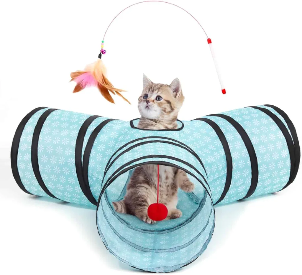 Tempcore cat tunnel cat in a blue cat tunnel