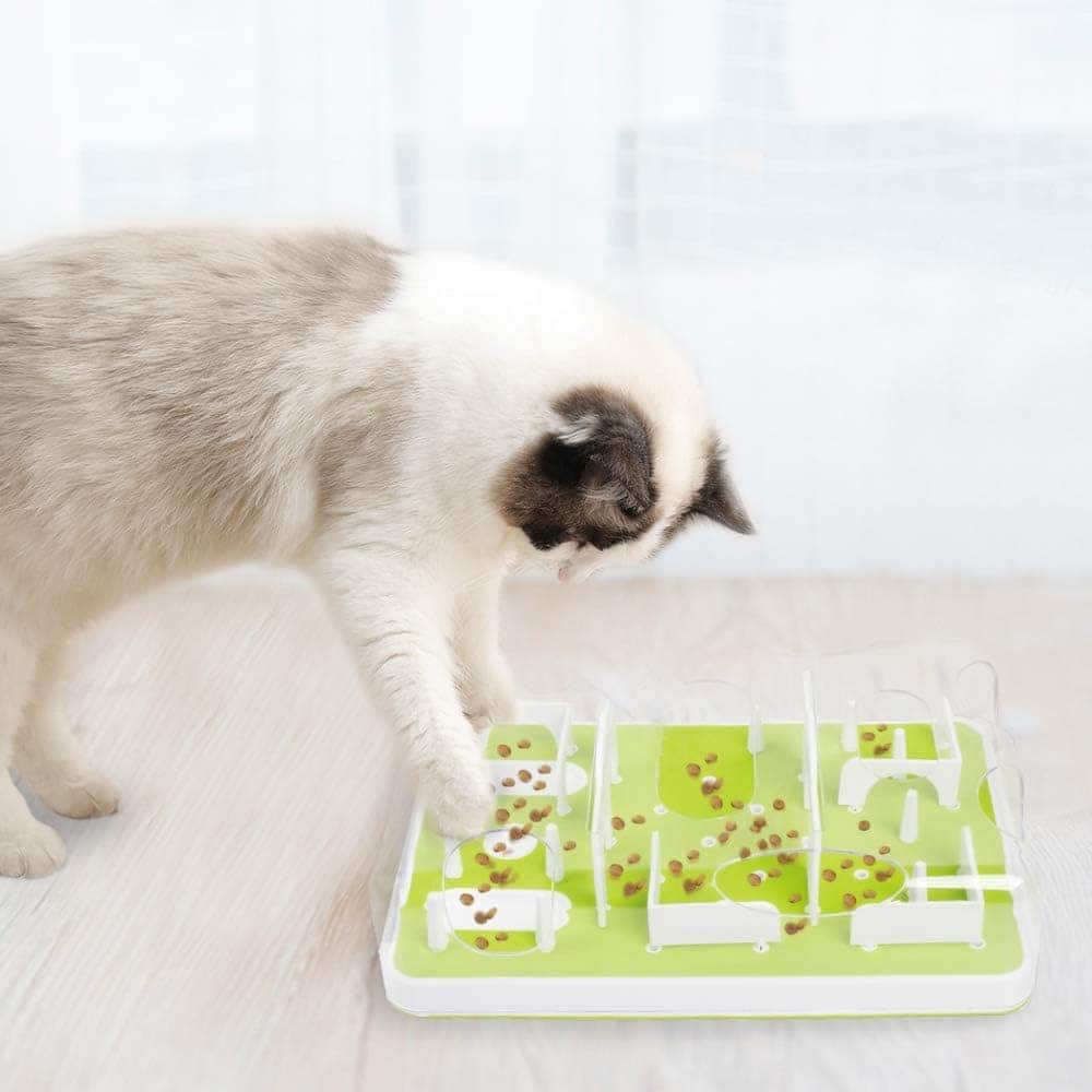all for paws cat maze toy kitten playing with puzzle toy