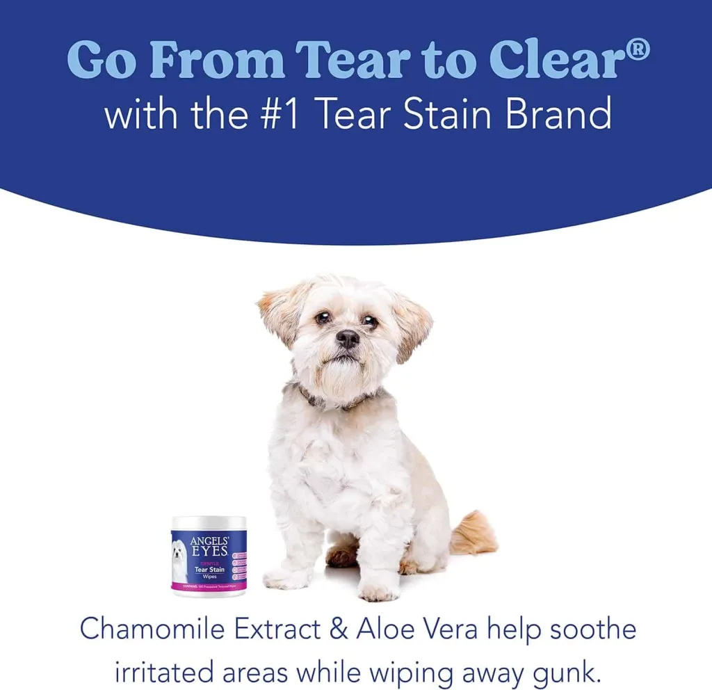 angels eyes chamomile white dog with a tub of Angels Eyes wipes next to him