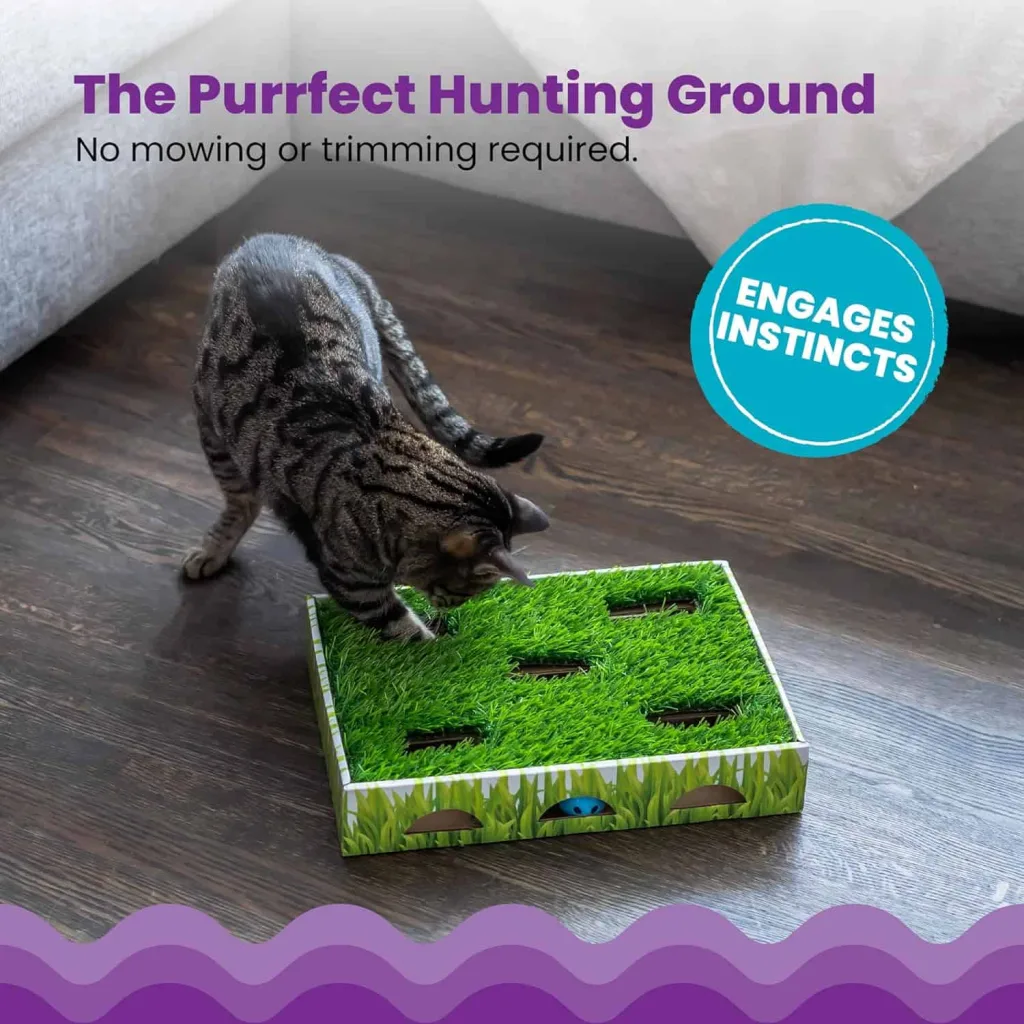 catstages hunting box cat toy Cat playing with cardboard box covered in grass