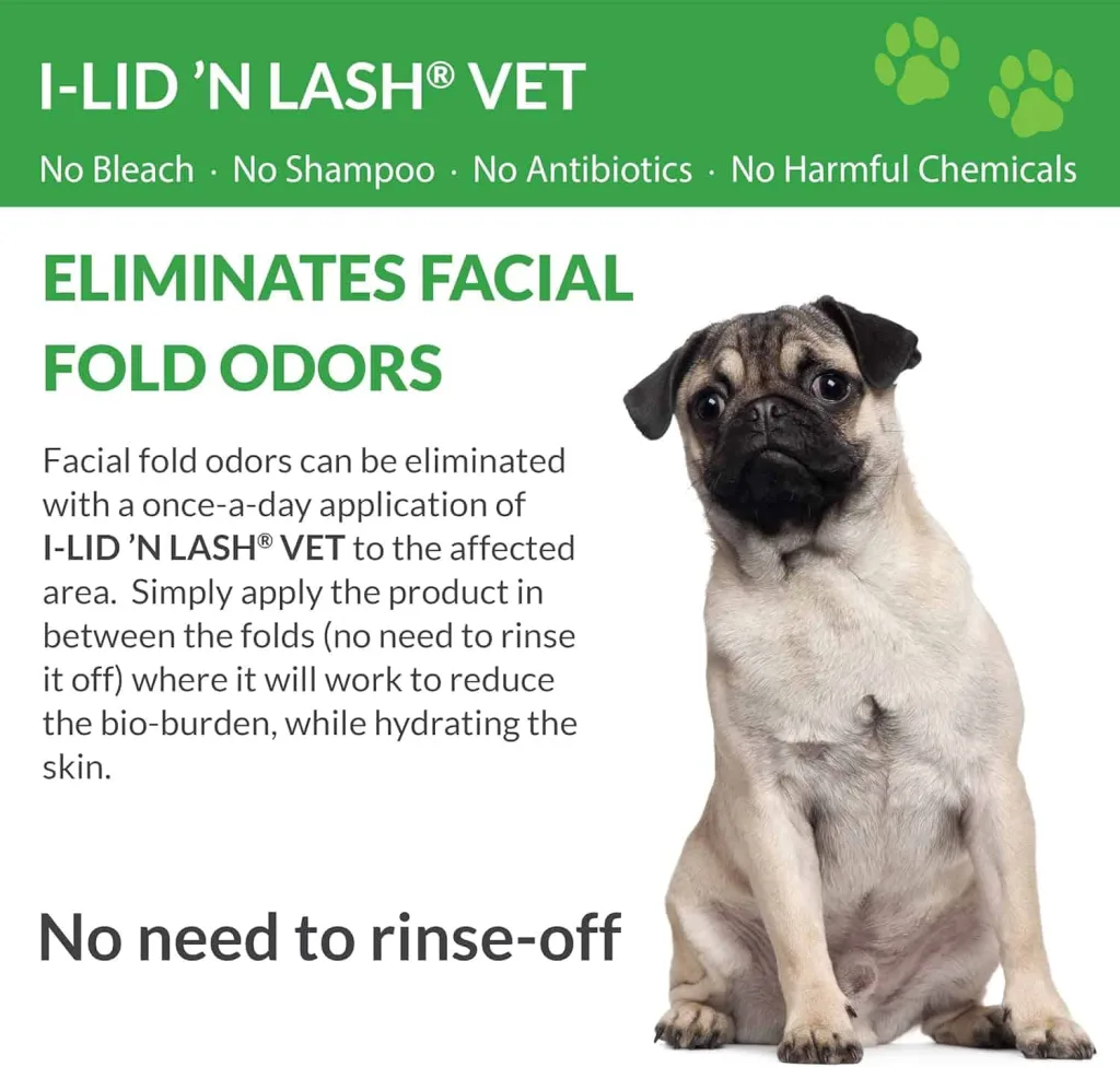 i lid n lash facial folds pug surrounded by text about facial folds odor