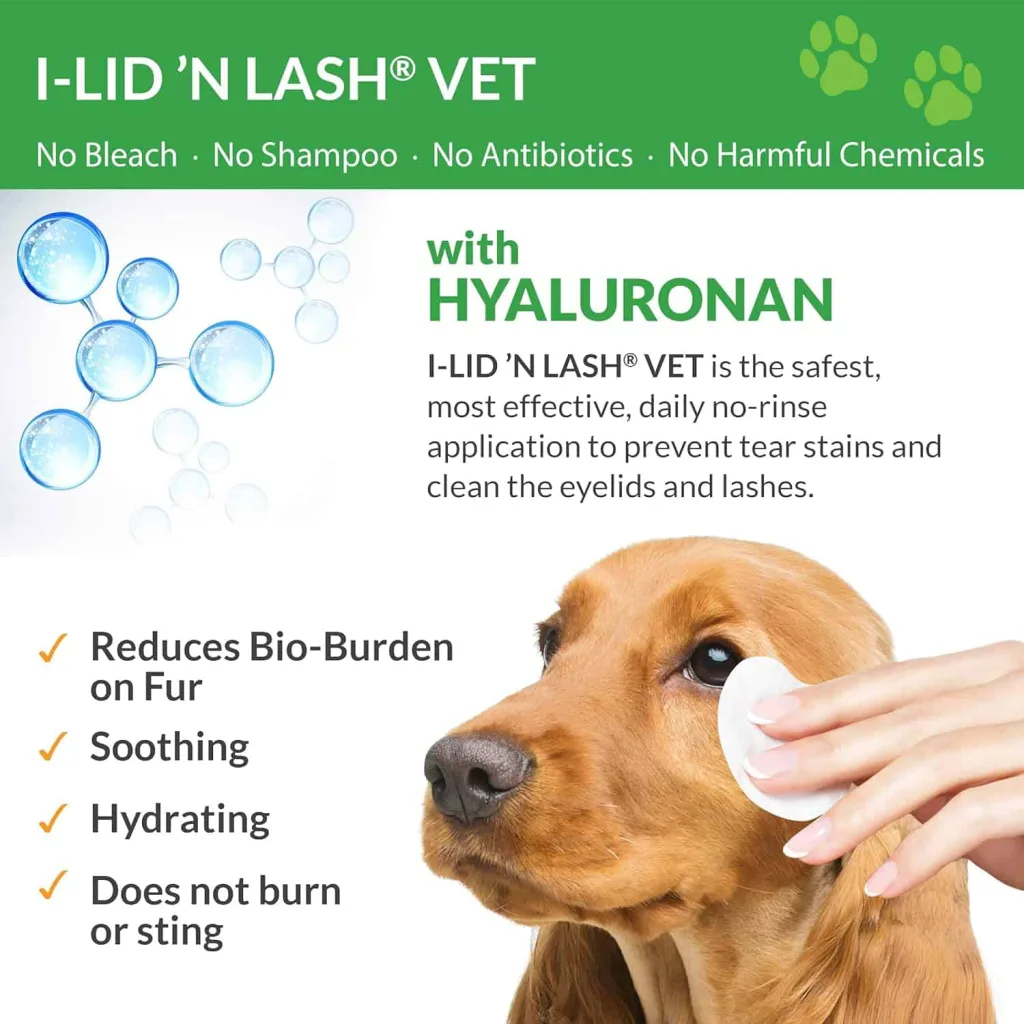 iid n lash ingredients golden retriever having his eye wiped by I LID n LASH wipe