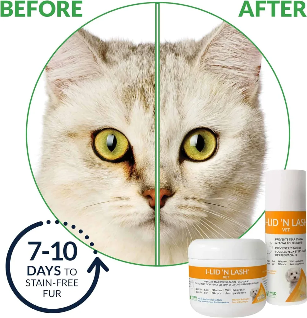 ilid n lash cat before after Cat face with before and after showing no eye staining with wipes
