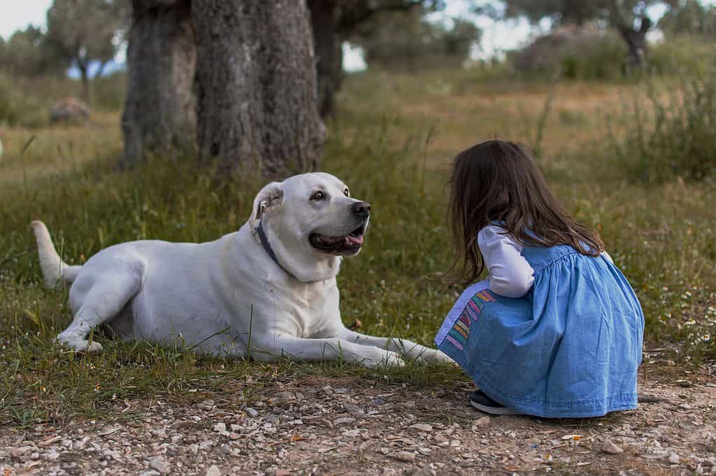kid-dog-outdoors-5718703 kid, dog, outdoors-5718703.jpg