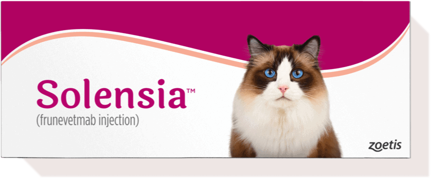 solensia solensia box with cat on it