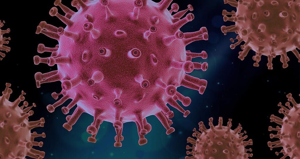 virus-covid-science-4937553 virus, covid, science-4937553.jpg