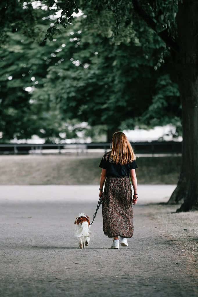 woman-dog-walk-7308033 woman, dog, walk-7308033.jpg