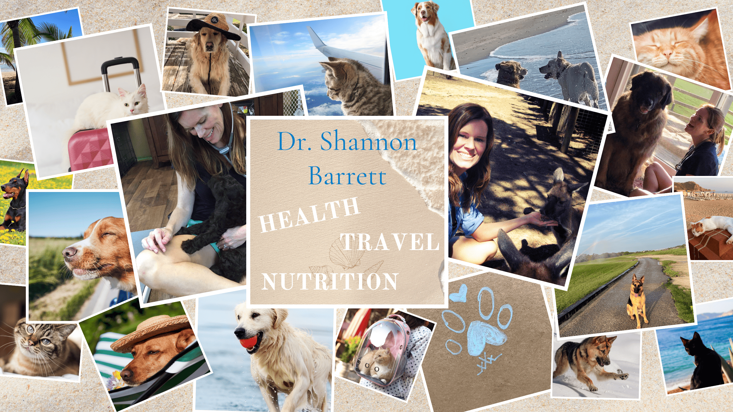 Dr Shannon Barrett Veterinarian digital nomad Author
