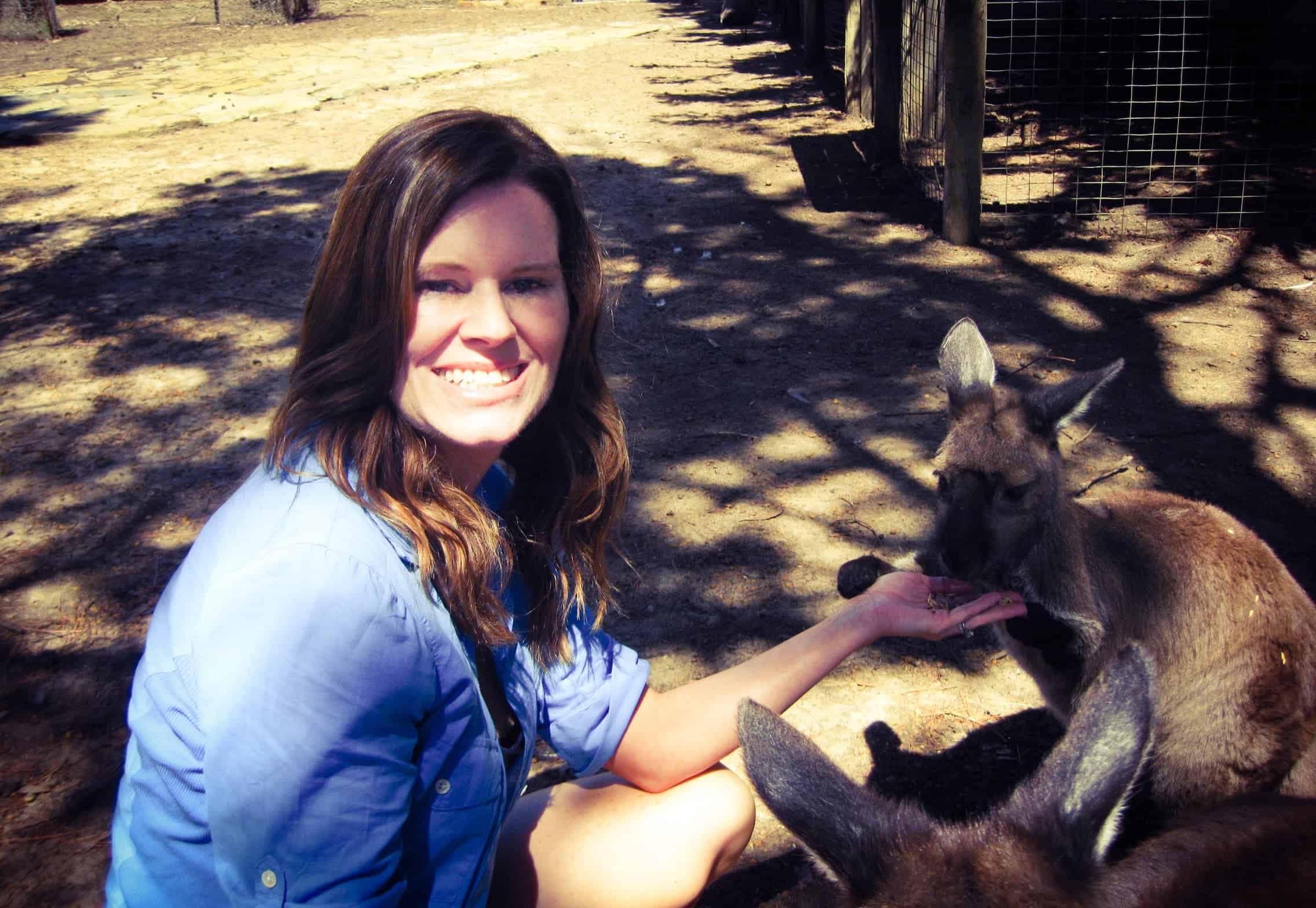 Dr Shannon Barrett veterinarian